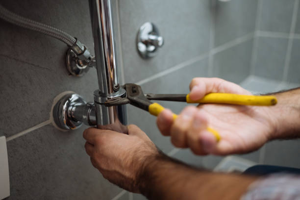 Best Plumbing Inspection Services  in Pea Ridge, AR